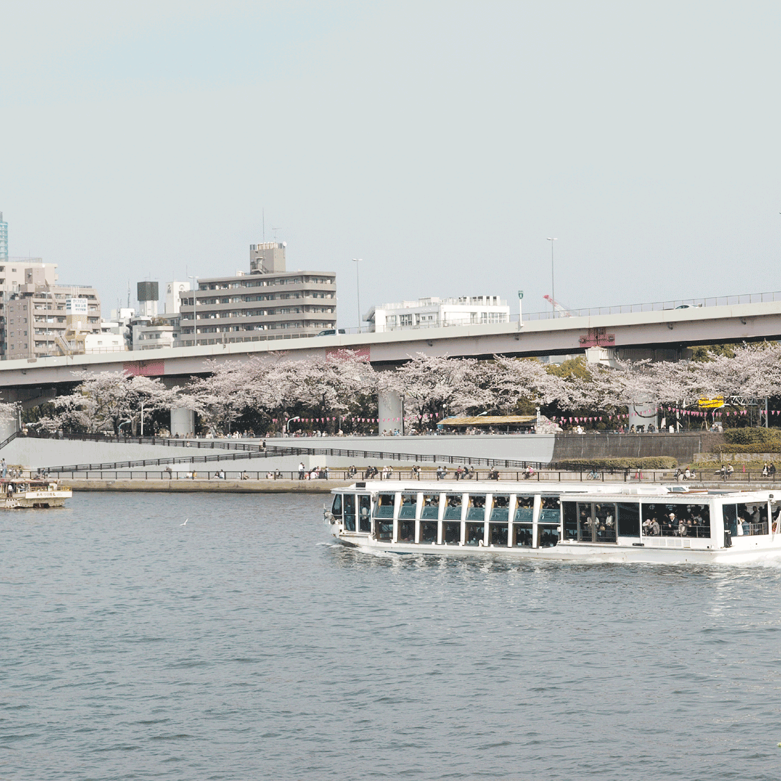 隅田川